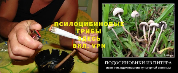 apvp Пестово