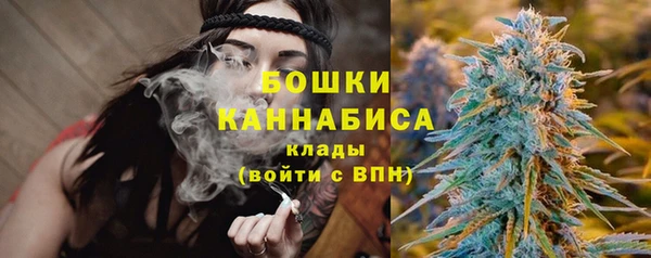 молекула духа Покачи