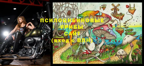 круглые Пересвет