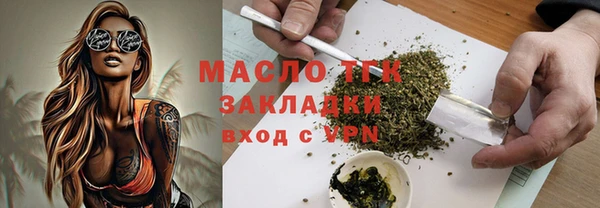 молекула духа Переславль-Залесский