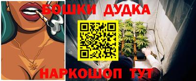 индика Пыть-Ях