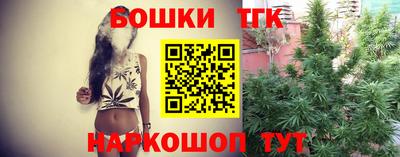 индика Пугачёв