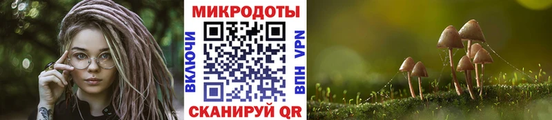 кракен маркетплейс Шарыпово Псилоцибиновые грибы MAGIC MUSHROOMS наркотики